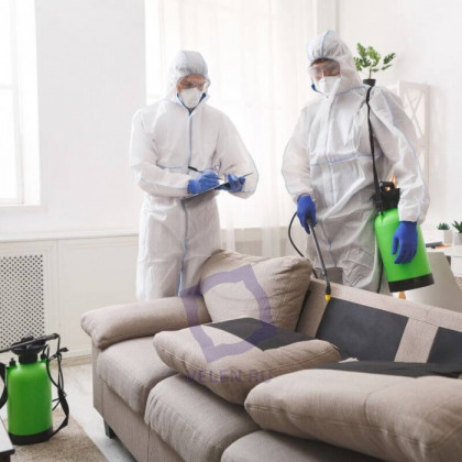 Уничтожение тараканов, клопов и др насекомых